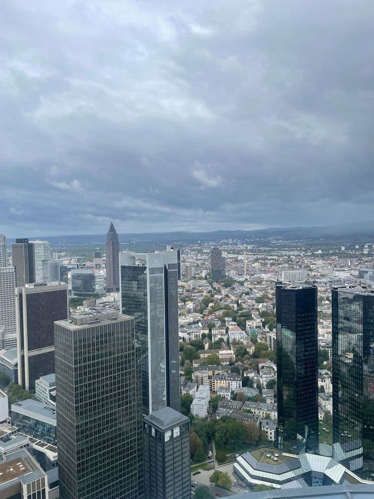 Stadtansicht von Frankfurt mit Wolkenkratzern unter bewölktem Himmel.